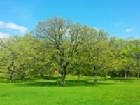 Uprostřed týdne 20 °C, Velikonoce s deštěm