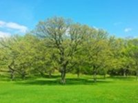 Uprostřed týdne 20 °C, Velikonoce s deštěm