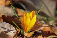 Víkend s maximy okolo 15 °C