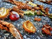 Oblačný víkend s maximy do 18 °C