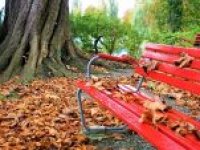 Víkend studený Víkend studený