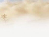 Čekají nás četné mlhy