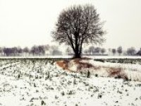 Víkendová maxima nad nulou