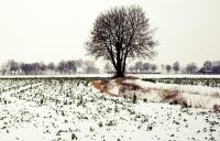 Víkendová maxima nad nulou