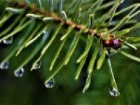 Teploty budou stoupat