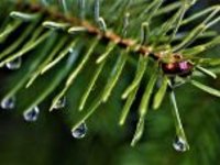 Teploty budou stoupat