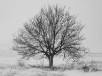 Začne ochlazování