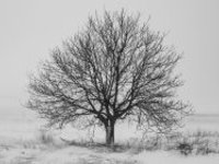 Začne ochlazování