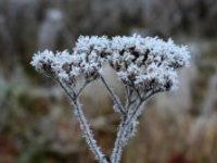 Denní maxima nad nulou