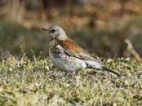 Teploty porostou až k 10 °C