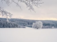 Mrazivý víkend se sněhem