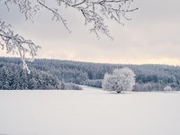 Mrazivý víkend se sněhem
