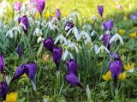 Další teplý víkend