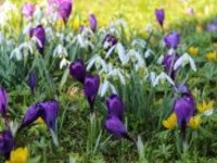 Další teplý víkend