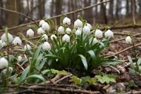 Ochlazení až v závěru týdne