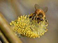 V sobotu přeháňky, na horách sněhové