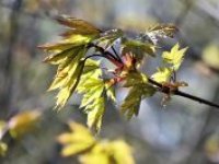 Teploty porostou k 20 °C