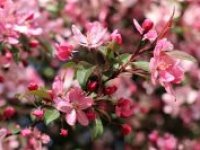 Studená fronta ovlivní víkend