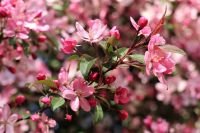 Studená fronta ovlivní víkend