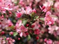 Studená fronta ovlivní víkend