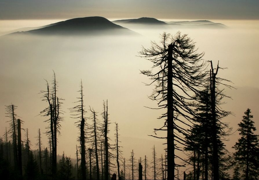 Pohled z Lysé hory na mlhou pokryté Podbeskydí