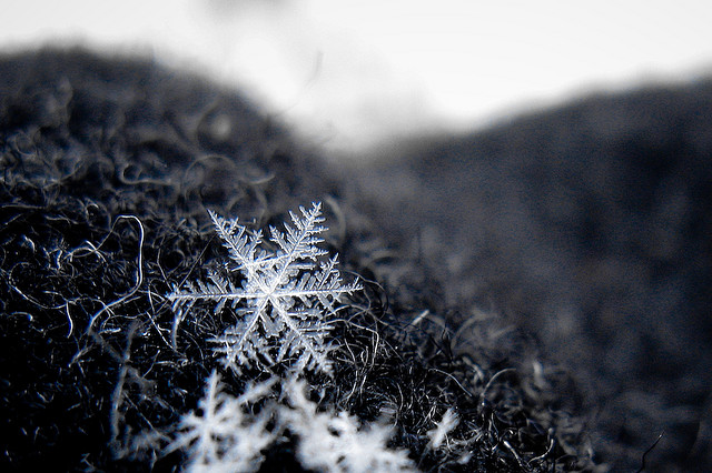 Makroskopický snímek sněhové vločky