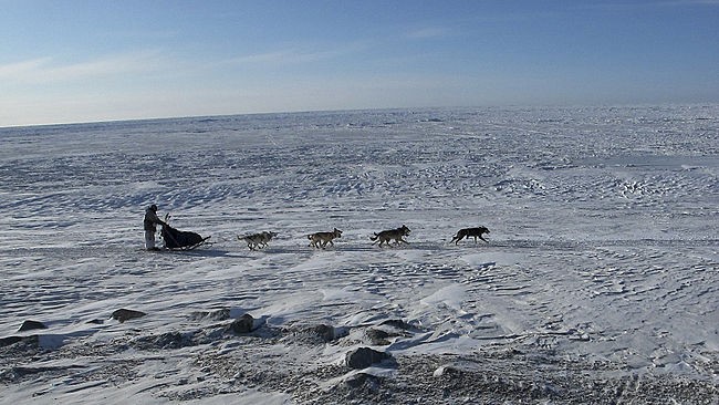 Závod psích spřežení za polárním kruhem