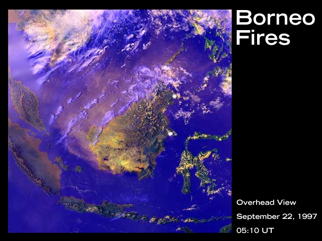 Požáry v Borneu ničí tamní přírodu
