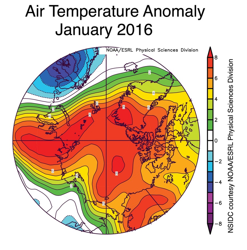 Anomálie teplot od normálu v lednu 2016 nad severním pólem