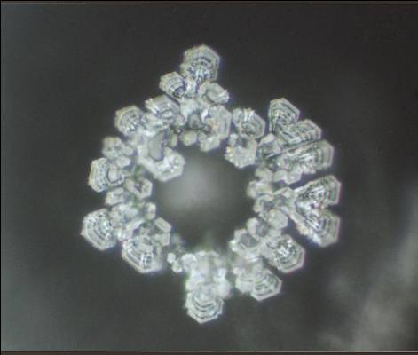 Krystal ledu pod mikroskopem