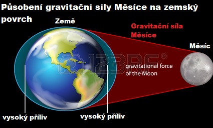 Gravitační síly Měsíce způsobují příliv a odliv