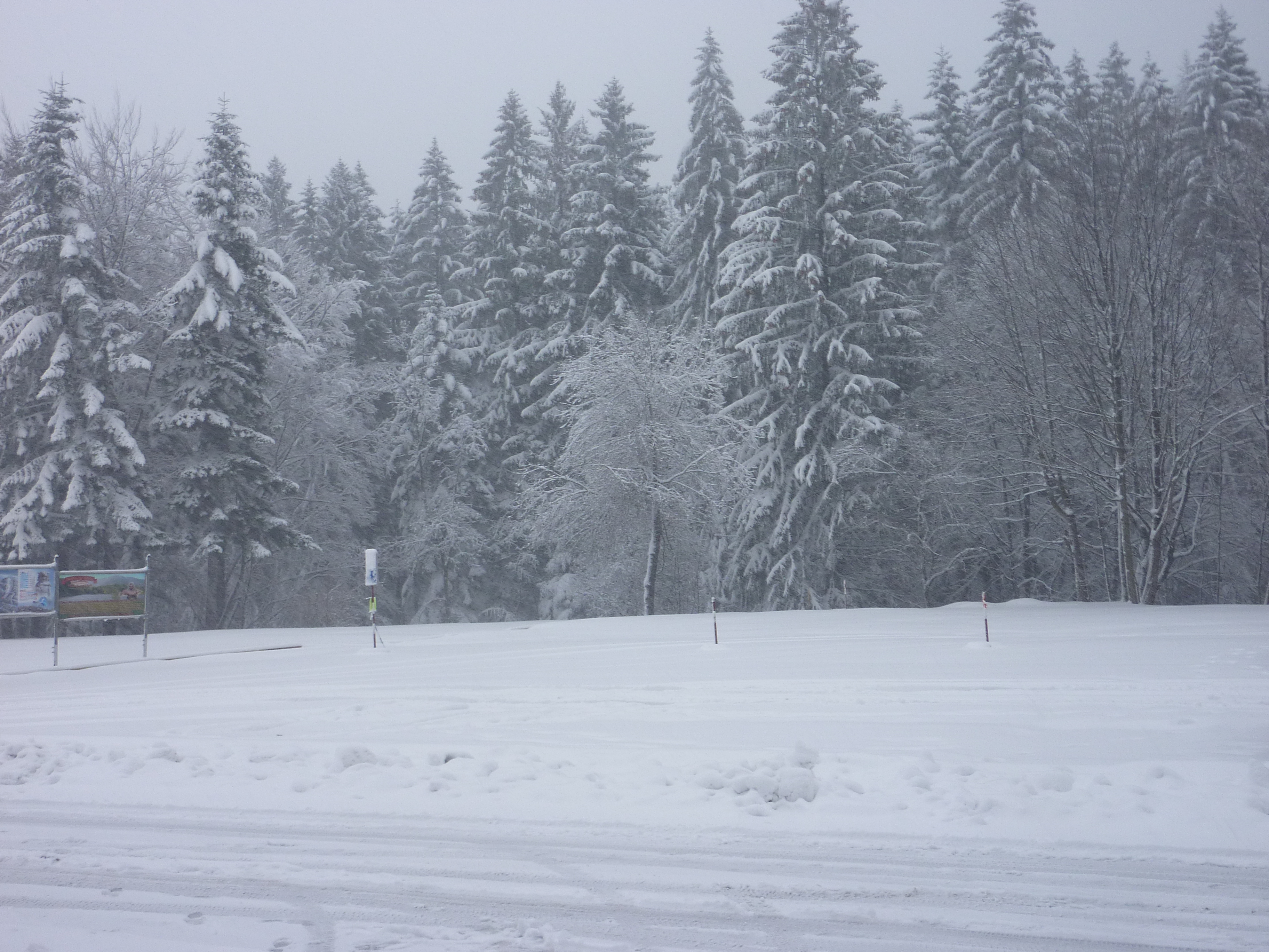 Sníh zasypává horské i podhorské oblasti a způsobuje problémy řidičům
