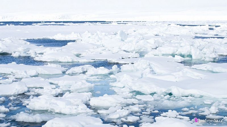 Plovoucí mořský led a malé ledový kry na otevřeném moři