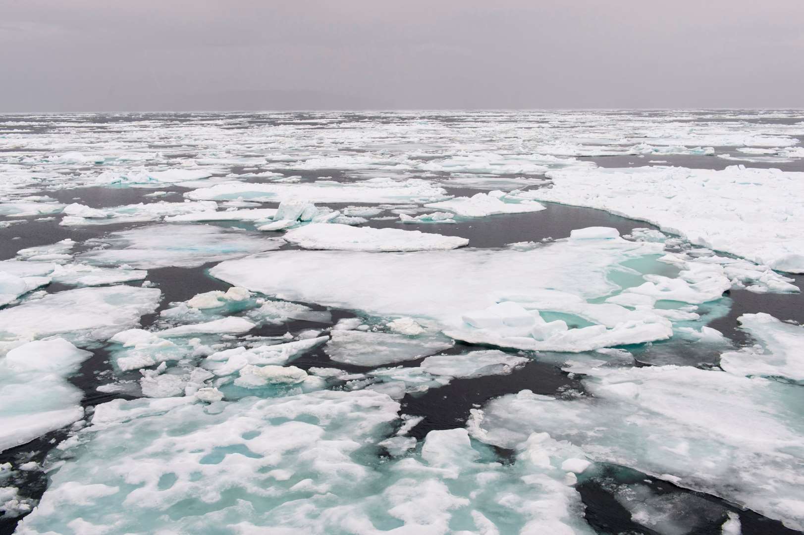 Arktický led při svém tání se láme na tisíce menších kousků