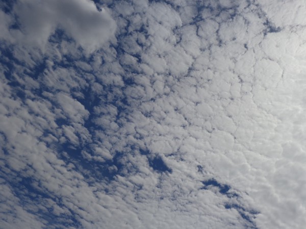 Oblaky typu cirrostratus na letní obloze