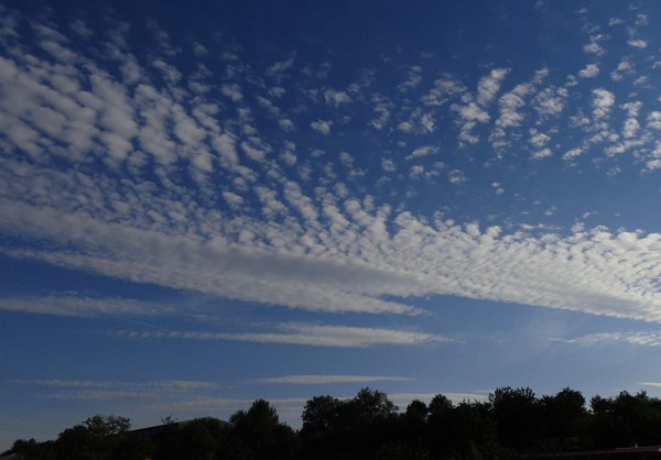 Oblaky typu cirrus na letní obloze