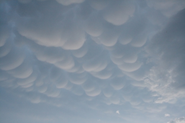 Fotografie oblaku altostratus mamma