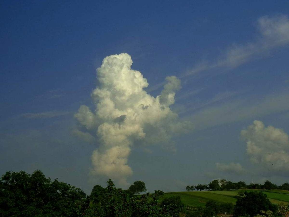 Vyvíjící se oblačnost nad loukou