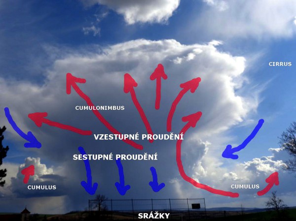 Cumulonimbus, výstupné a sestupné proudy jsou zvýrazněny šipkami