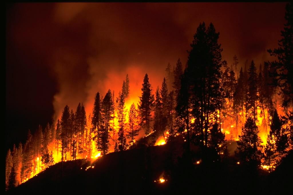 Hasiči bojují s obrovskými lesními požáry