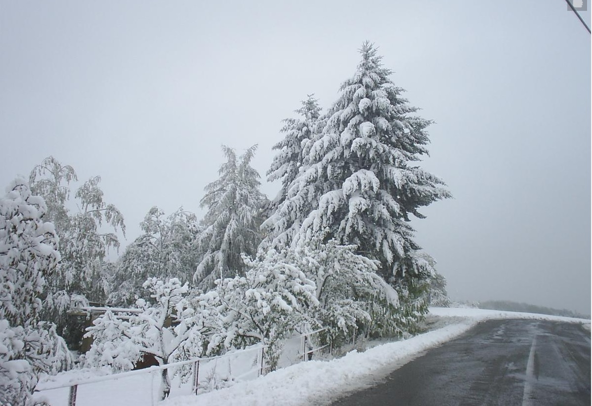 Čerstvý sníh na stromech a v zahradách, jen na cestě nedrží