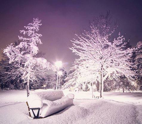 Čerstvý sníh v městském parku