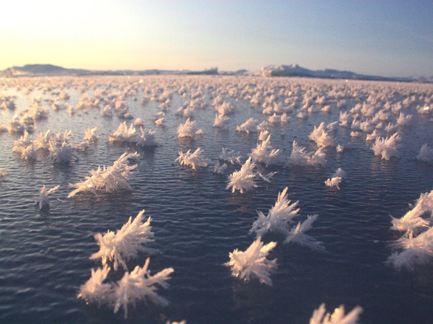 Ledový oceán a ledové krystaly na jeho povrchu