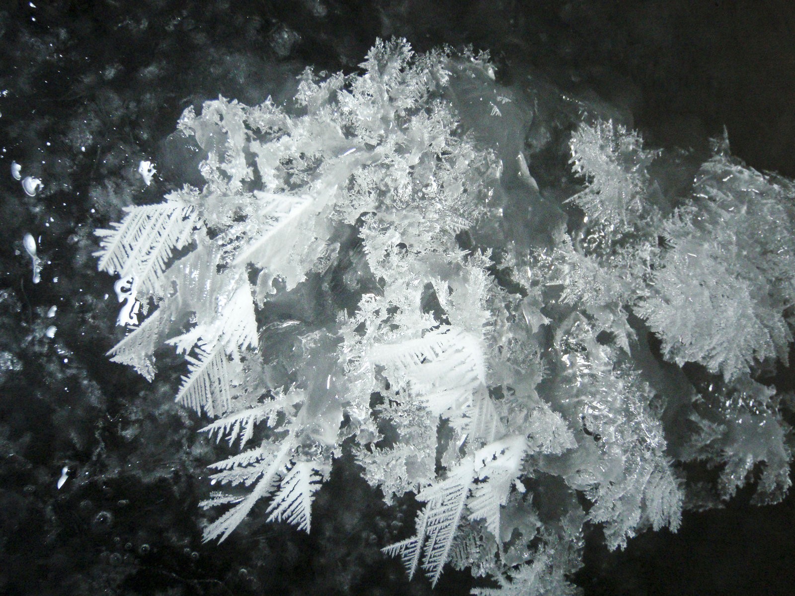 Krystaly ledu z oceánu