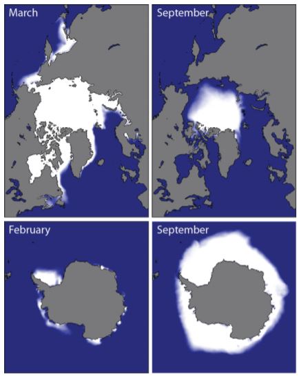Názorné vyobrazení množství ledu nad severním a jižním pólem v letní a zimní sezóně