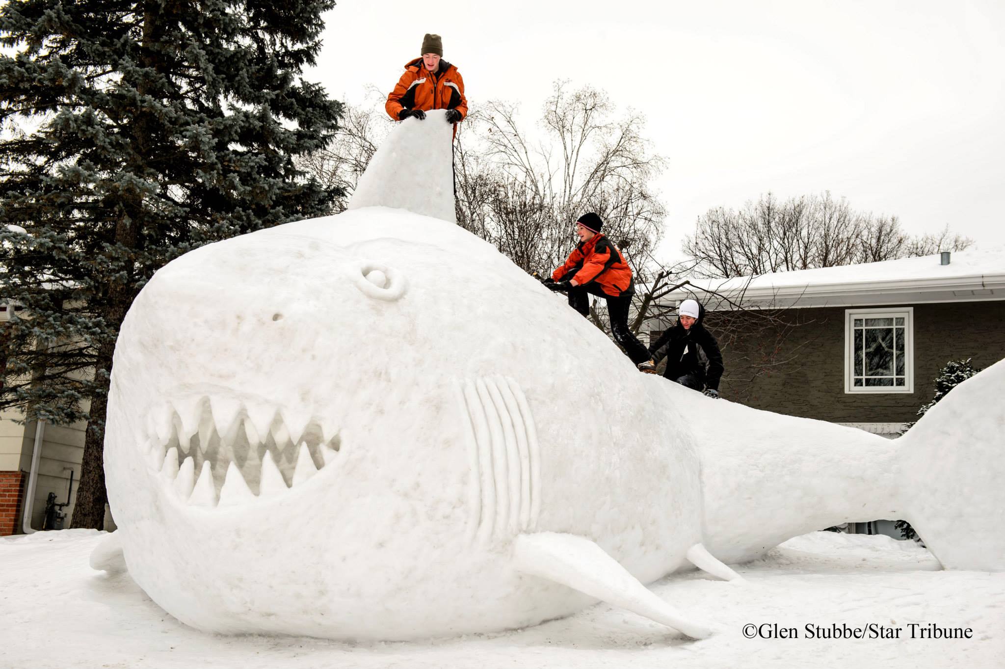 Ledová socha ve tvaru žraloka