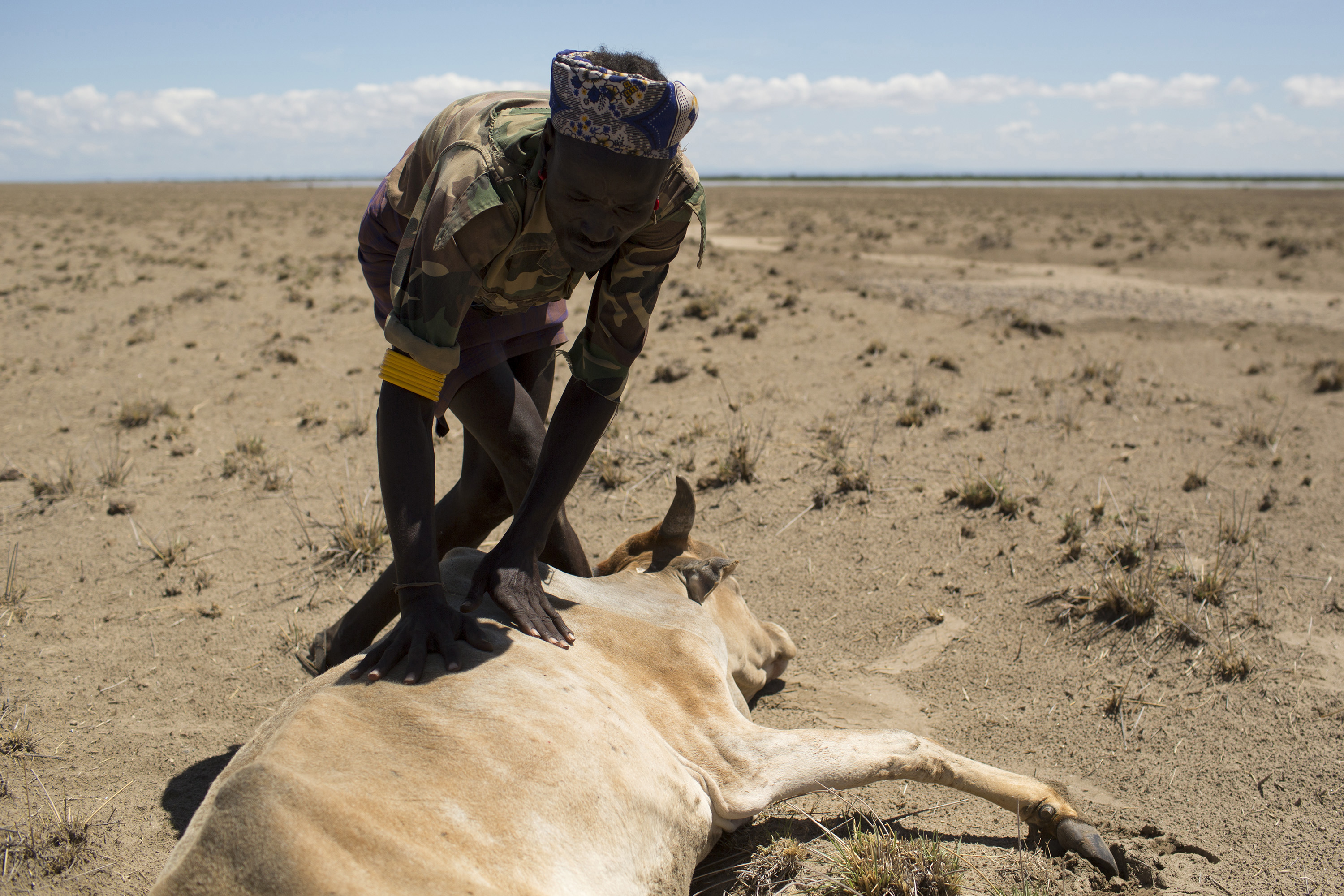 Umírající zvířata v Etiopii