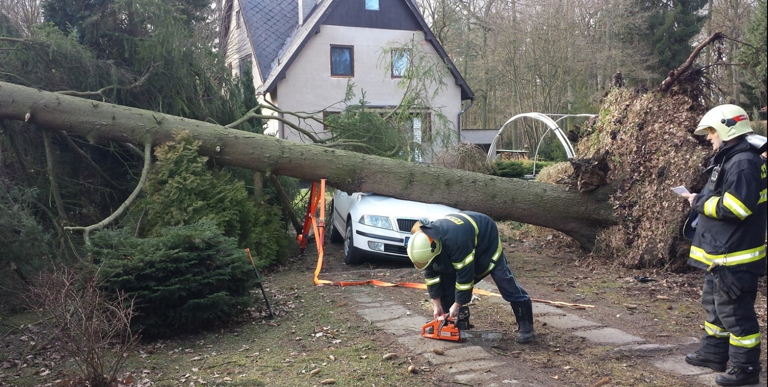 Vyvrácený strom po silném větru v Nymburce