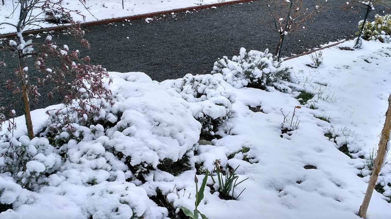 První sníh na zahradě