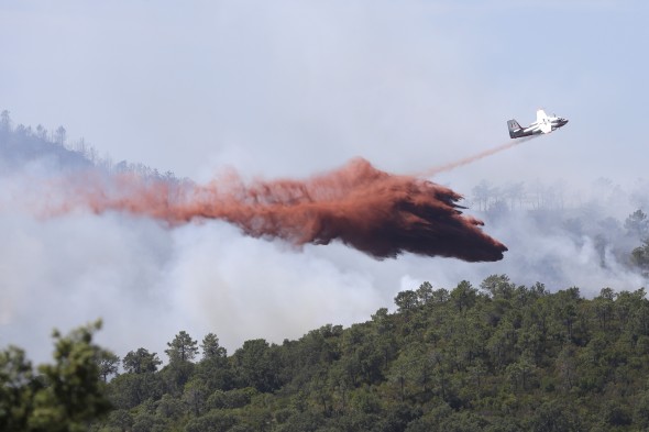 Hasiči ve Francii používají k hašení lesních požárů i letadla